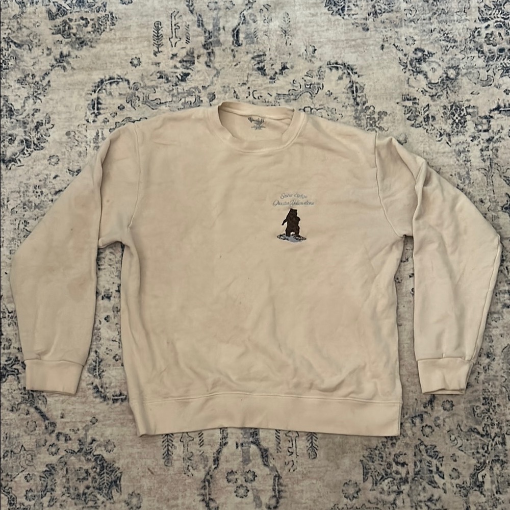 brandy melville snow lodge great yellowstone sweater!!
